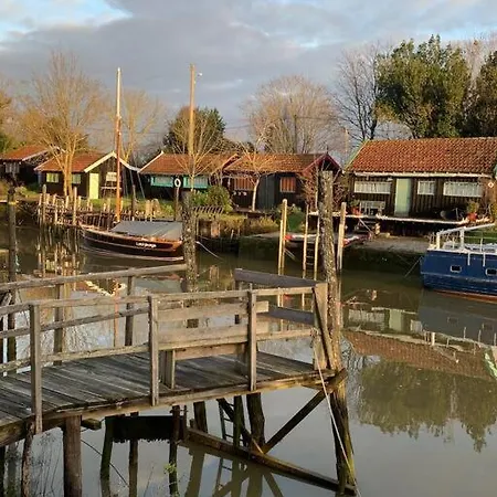 L'olivier Climatisee - En Plein Centre-ville Holiday home *