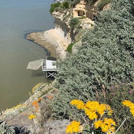 L'olivier Climatisee - En Plein Centre-ville Casa vacanze *