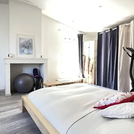 L'olivier Climatisee - En Plein Centre-ville Holiday home